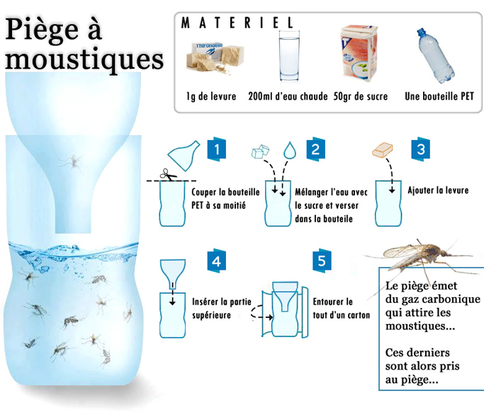 Как сделать экологичную ловушку для комаров своими руками