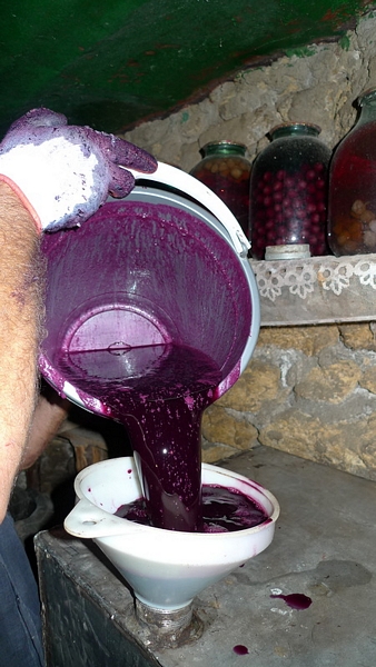 фото приготовления молдавского вина