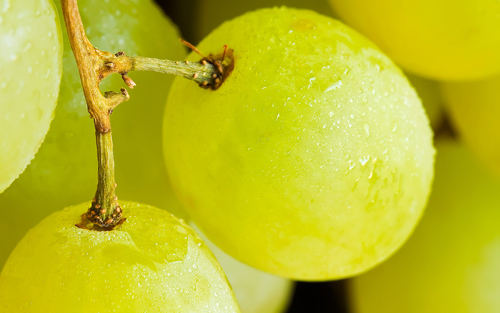 Как правильно хранить виноград