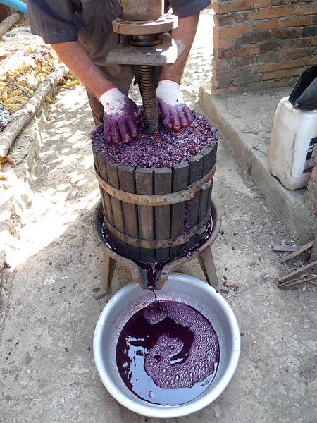 молдавское вино фото