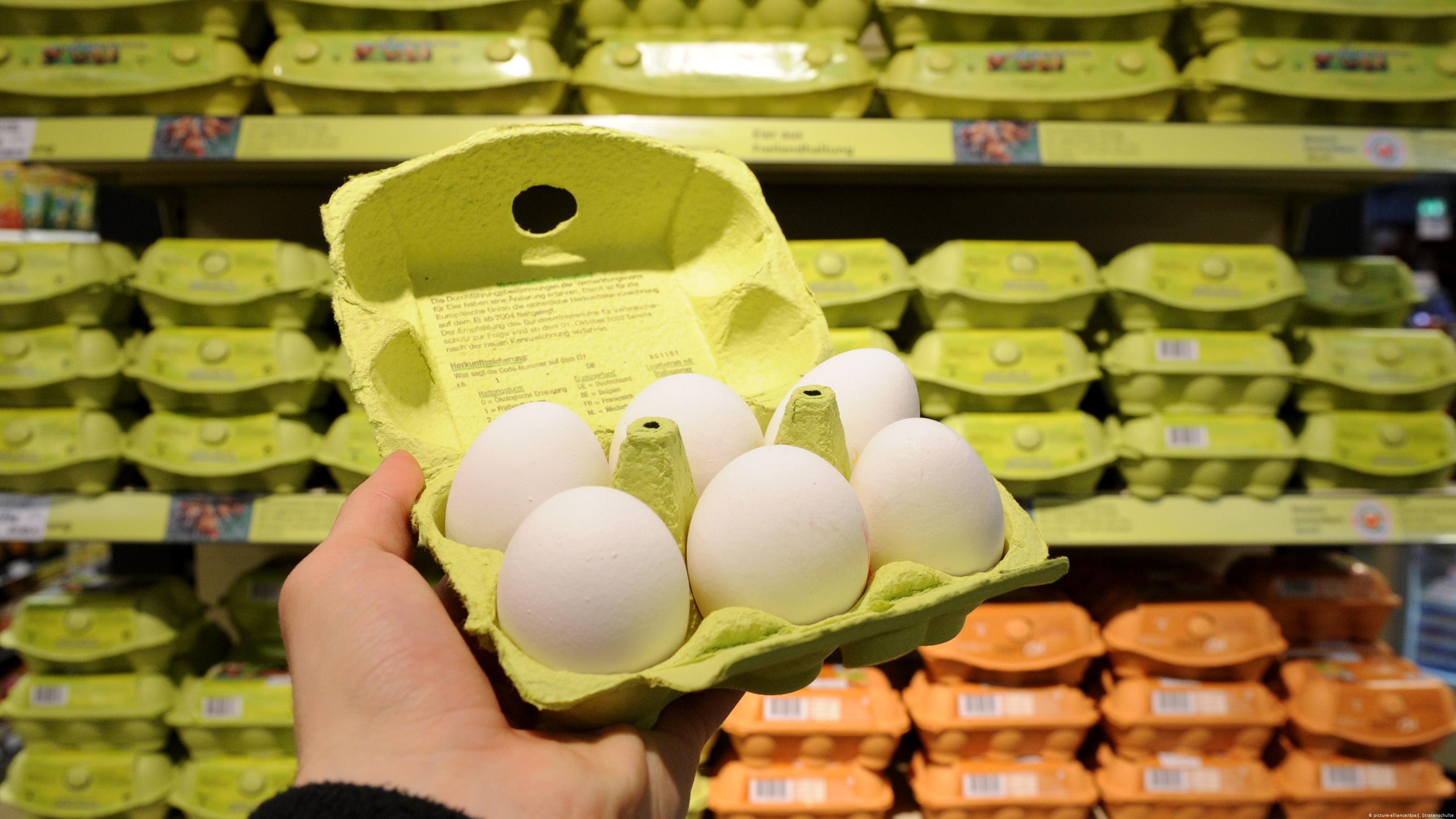 Как правильно выбрать яйца в магазине